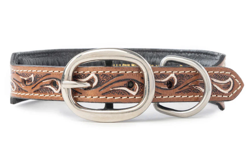 Prairie Sunflower Trail Dog Collar in Sandstone